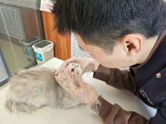 -美联众合动物医院·伴可分院·内科中心医院