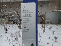 -首都医科大学附属北京地坛医院