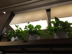 大堂-肯德基(沈辽路店)