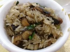 -一煲鸽