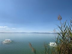 -捞渔河湿地公园