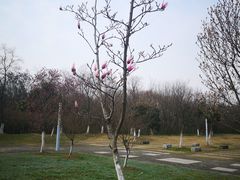 -安徽大学(磬苑校区)