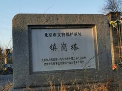 -云岗森林公园