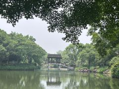 -西溪国家湿地公园