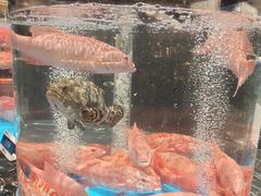 -成都仁和新城购物中心
