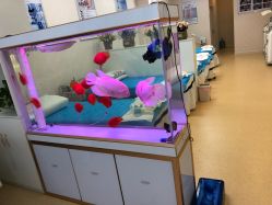 点击看大图 -痘庄科学祛痘国际连锁机构