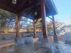 -和园景逸大酒店朗月汤泉