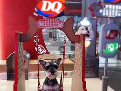 -DQ·蛋糕·冰淇淋(五角场万达店)