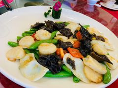 奇脆炒元贝-稻香酒家·33年老字号·港式粤菜(富邦中心店)