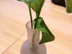 -轻蔬不用等·素食(江苏路店)