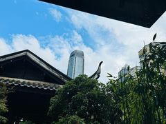 -知亘茶食