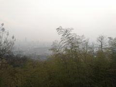-紫金山山顶公园