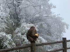 -峨眉山风景名胜区