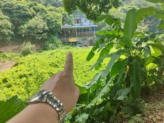 -百里鲜(羚羊峡古栈道森林公园店)