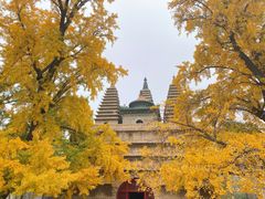 -北京石刻艺术博物馆(五塔寺)