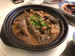 -欢乐海岸美食联盟