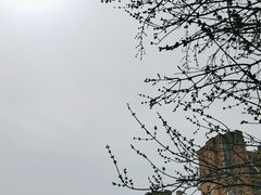 -护国法轮寺