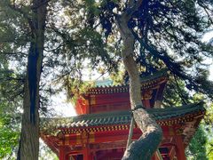 -钓鱼台国宾馆