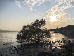 -深圳湾公园(南山区)