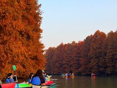 -上海海湾国家森林公园
