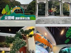 -云碧峰国家森林公园