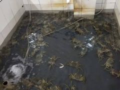 -七的湖·晚芳亭·阳澄湖农家菜·大闸蟹(莲花岛店)