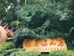 -西双版纳基诺山寨