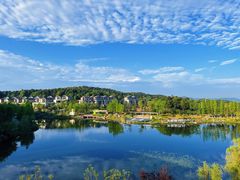 -铁山坪森林公园