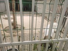 -洪湖家庭农场·团建·露营·会议
