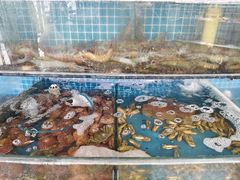-蟹谢蒸鲜自助餐厅