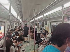 -野芷湖(地铁站)