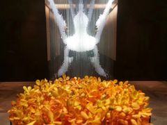 -丽晶轩中餐厅(重庆丽晶酒店)