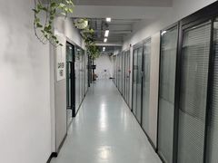 -引领英语·成人口语·雅思托福