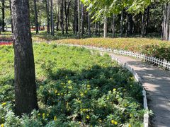 -黑龙江省森林植物园