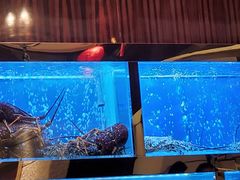 -金悦轩海鲜酒家(银河店)