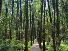 -同里国家湿地公园