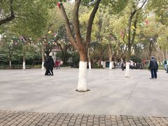 -瀛洲公园