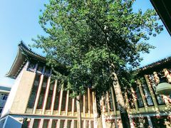 -国家图书馆·古籍馆