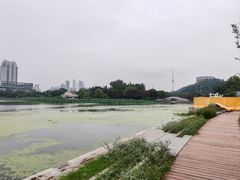 -月湖风景区