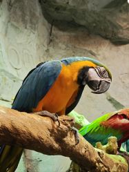 -Zoolung Zoolung动物主题公园(海信广场店)