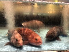 -阿伟海鲜楼·福建菜(延寿店)