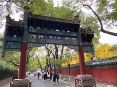 -北京国子监胡同