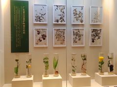 -广东中医药博物馆