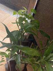 -香秀空间科技抗衰·美容中心