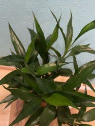 -香秀空间科技抗衰·美容中心