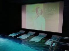 -丽思卡尔顿酒店泳池(金融街店)