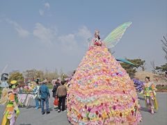 -荷兰花海