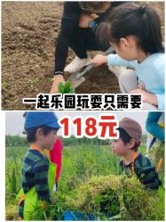 -麦粒鸟亲子游