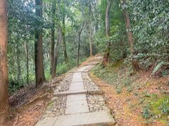 -西湖风景区十里琅珰-五云山