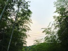 -紫金山索道-售票处